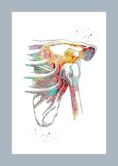 Eklem ve kas dokularında mikro dolaşımın iyileştirilmesi