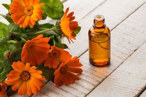 Calendula tentürü osteokondroz tedavisi için basit bir çözümdür